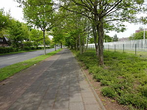 BfV Koeln-Chorweiler 55 Merianstr NW.jpg