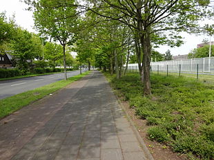BfV Koeln-Chorweiler 55 Merianstr NW.jpg