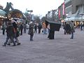 Lebendkamera20090224-01.jpg